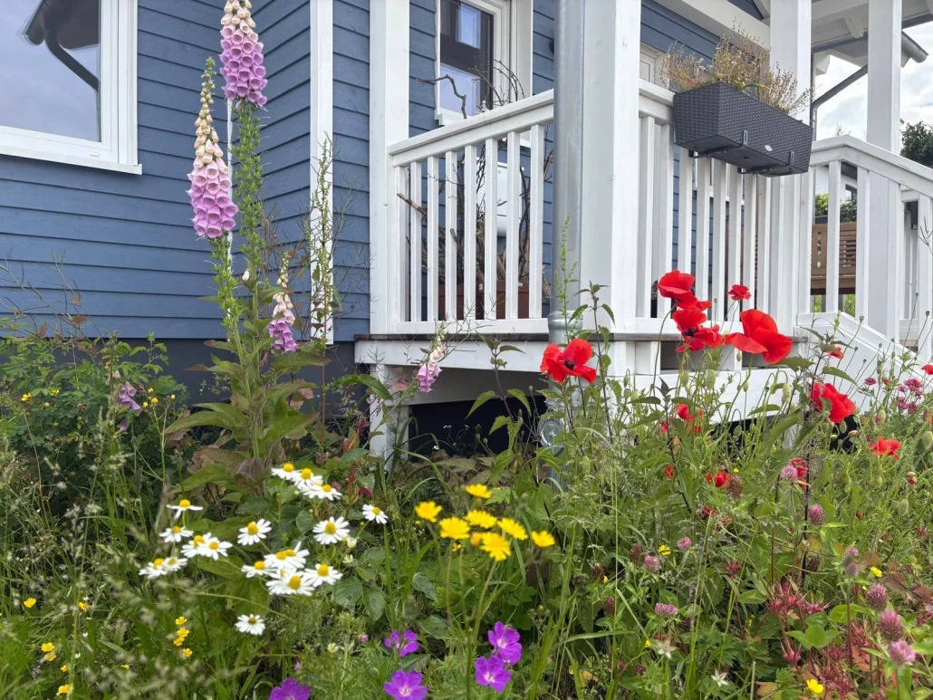 Veranda des blauen Holzhauses mit Sommerblumen